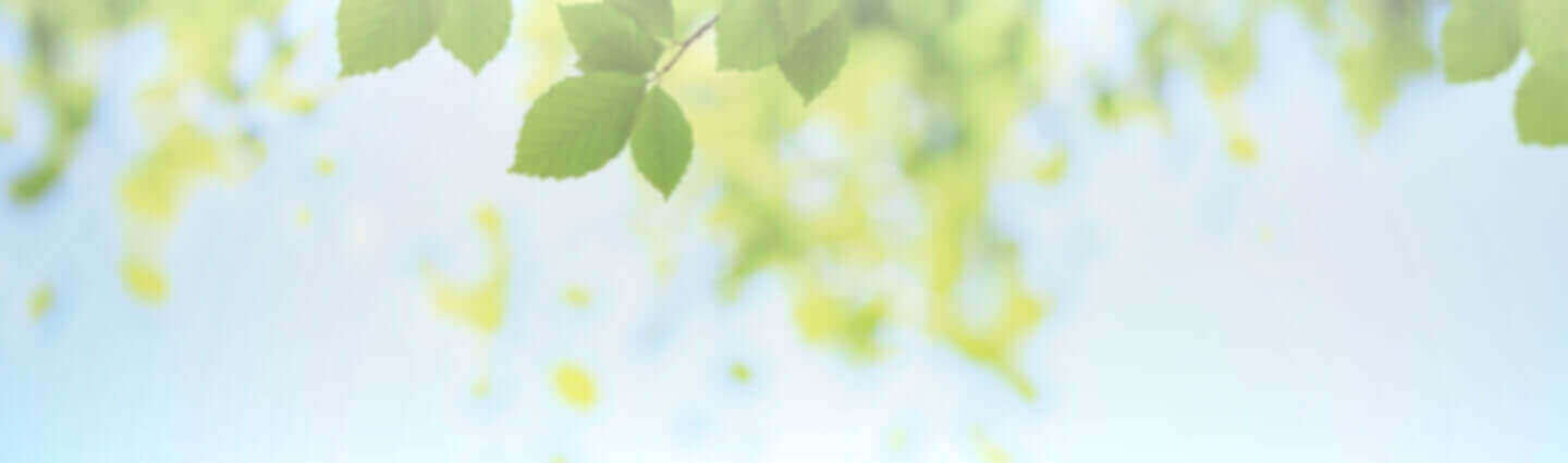 Sheeps Say Hello to a better Model